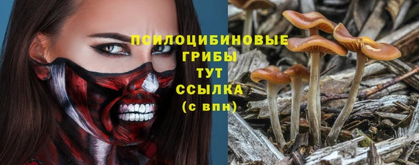 герыч Арсеньев